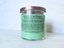 Load image into Gallery viewer, Abundance | Crystal Candle