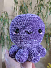 Load image into Gallery viewer, Octopus | Crochet Plush Toy
