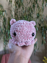 Load image into Gallery viewer, Cuttlefish | Crochet Plush Toy
