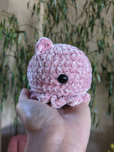 Load image into Gallery viewer, Cuttlefish | Crochet Plush Toy
