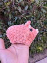 Load image into Gallery viewer, Triceratop | Crochet Plush Toy
