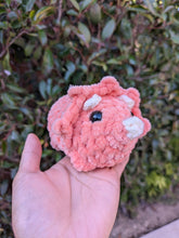 Load image into Gallery viewer, Triceratop | Crochet Plush Toy
